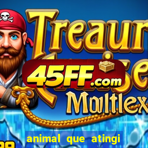 animal que atingi 230 decibeis